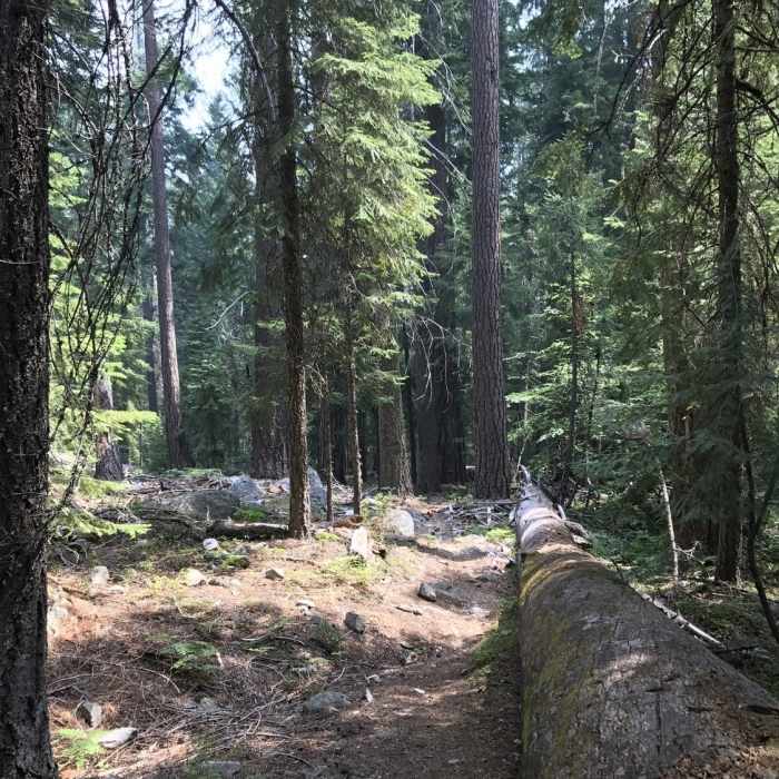 Near Sugar Lake Trail