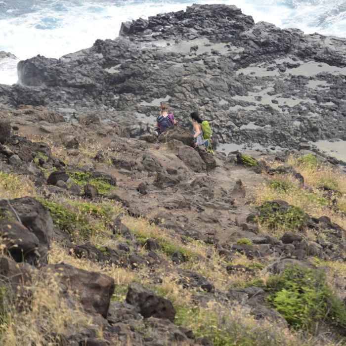 Near Makapu'u Point + Lighthouse Hike