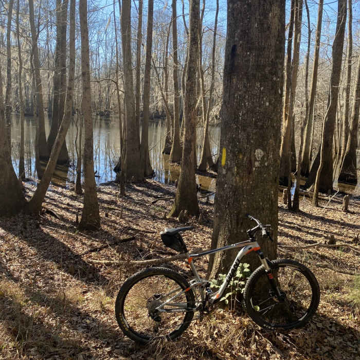 Near The Palmetto Trail: Lake Marion Passage