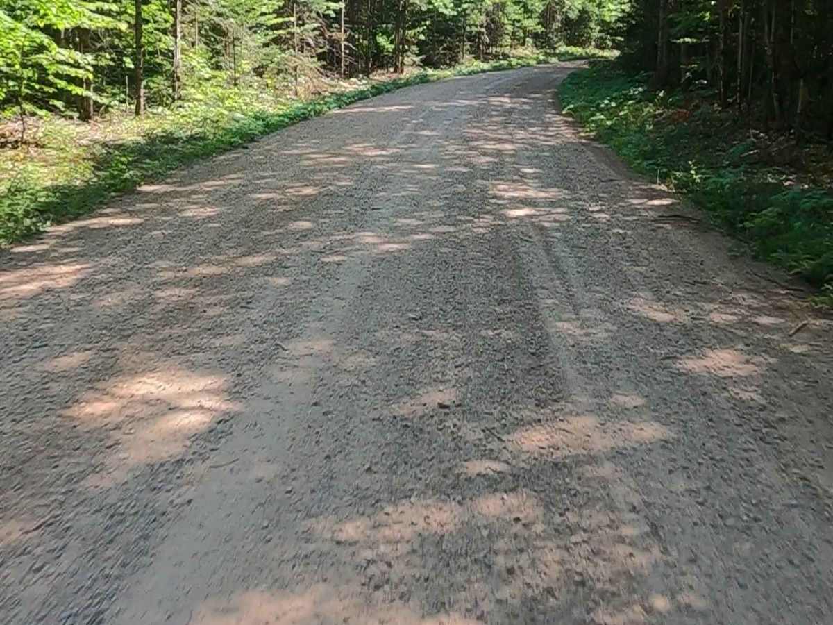 Buck Bay Road - FSR 2272 trail photo
