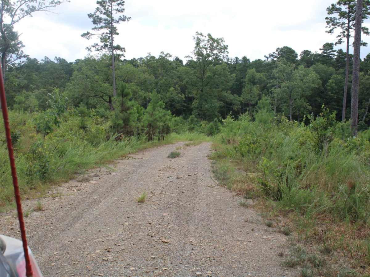 Polk 410 Stream & Camp photo 2