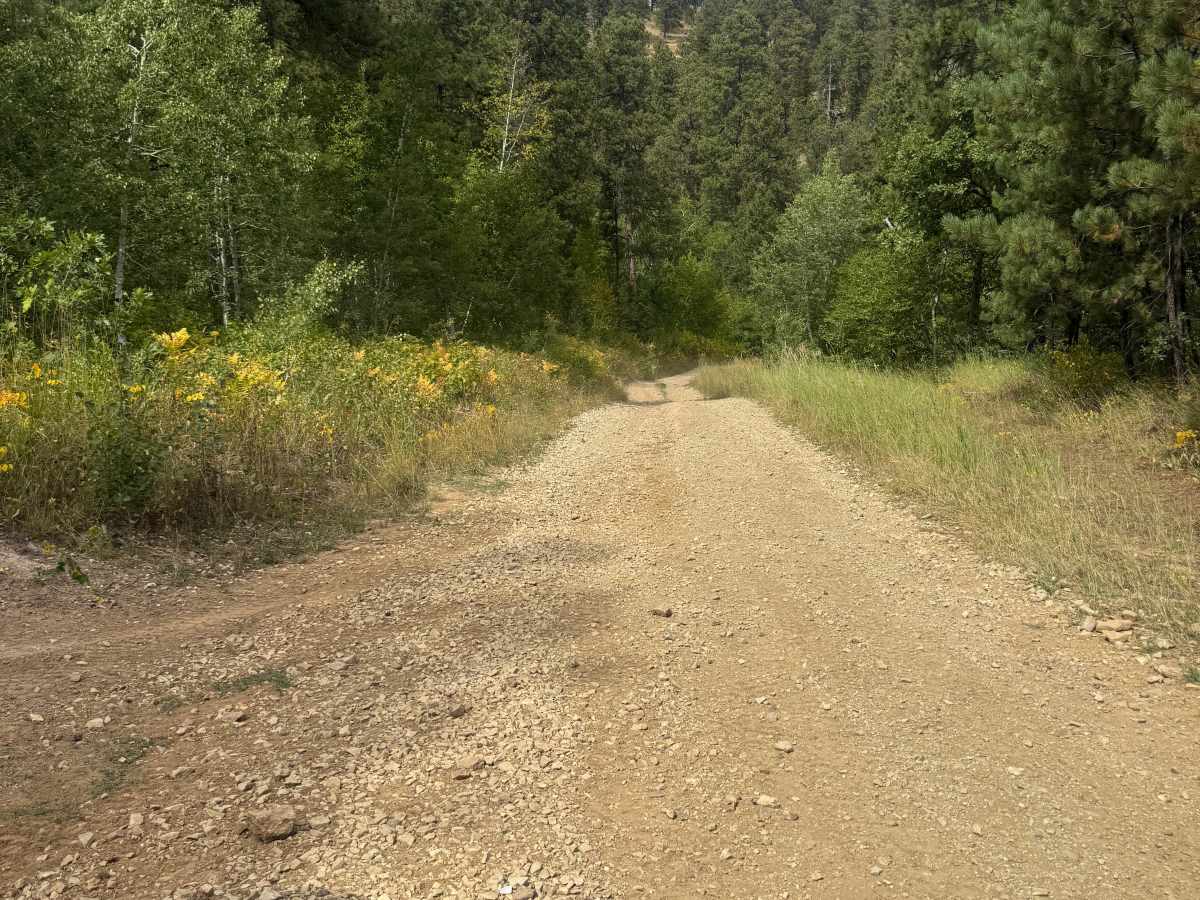 Lost Gulch Branch 1H - FS 172.1H photo 4