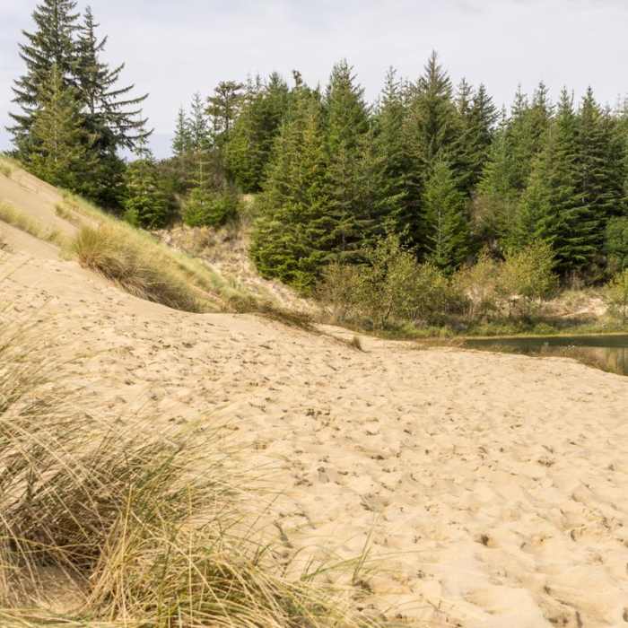 Near Hall + Shuttpelz Lake Trail