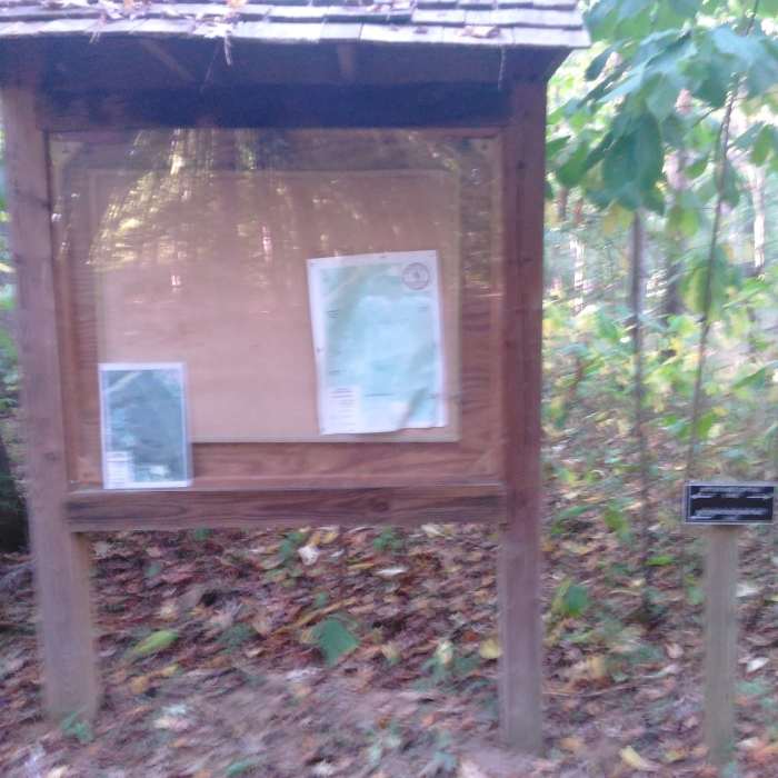Near New Hope Creek Bottomlands Trail
