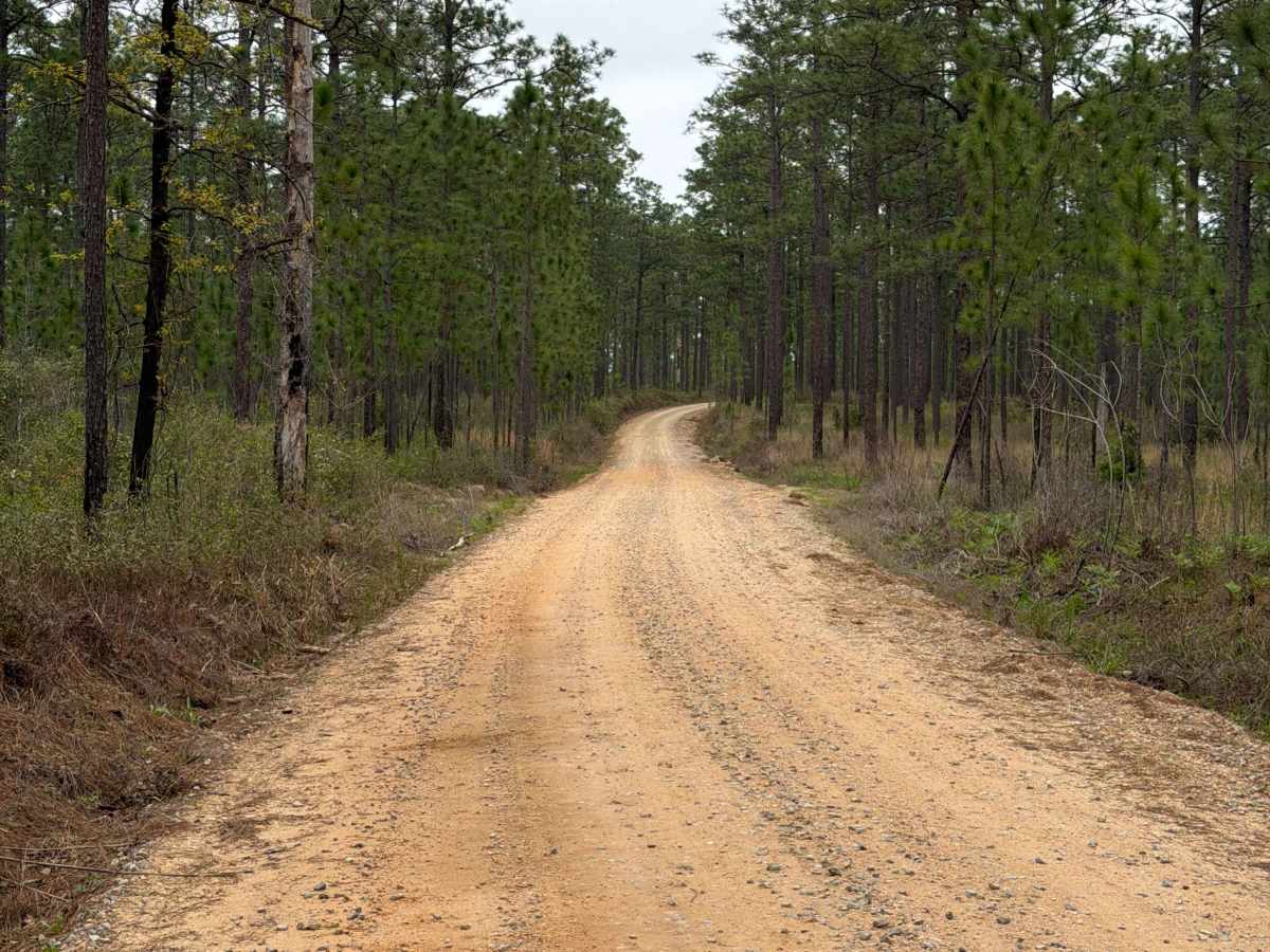 McDaniel Road photo 4