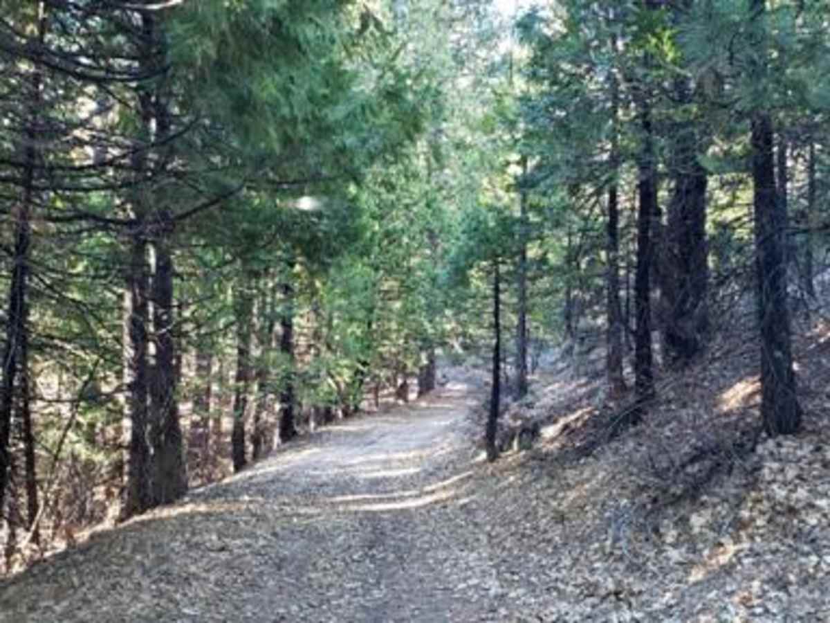 Wrights Lake Rd - 11N26A photo 2