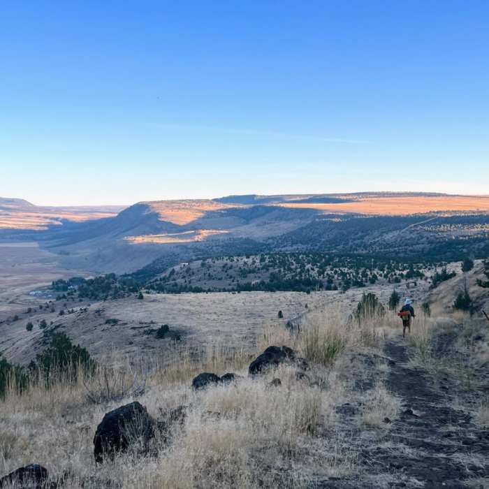 Near Frenchglen to Jack Mountain Road Near Frenchglen to Jack Mountain Road