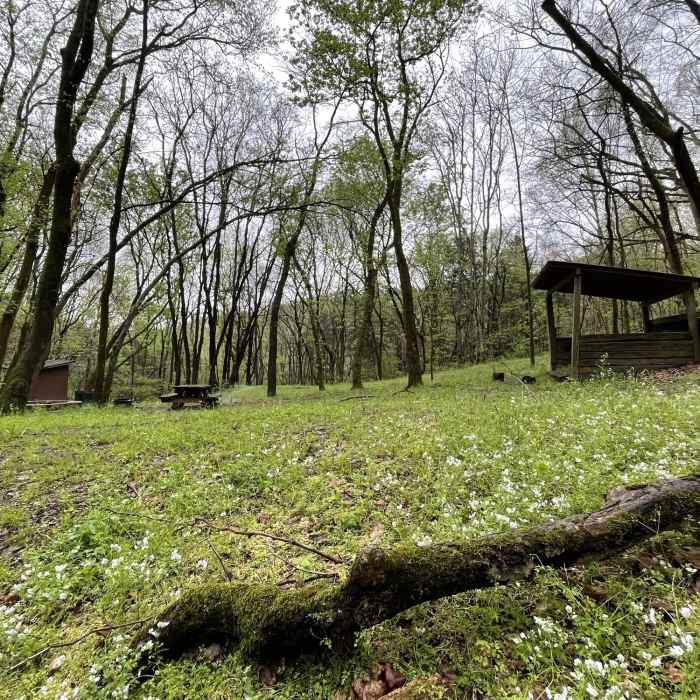 Near Bearwaller Gap Trail