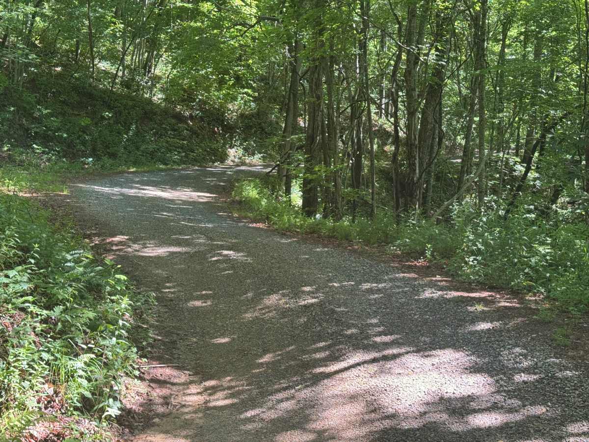 Barnett Creek - FS 6236 photo 6