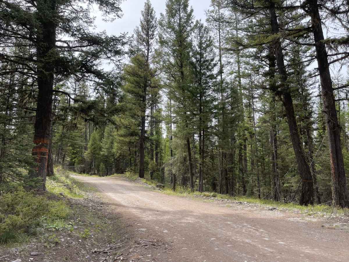 Lindbergh to Meadow and Bunyan Lake photo 3