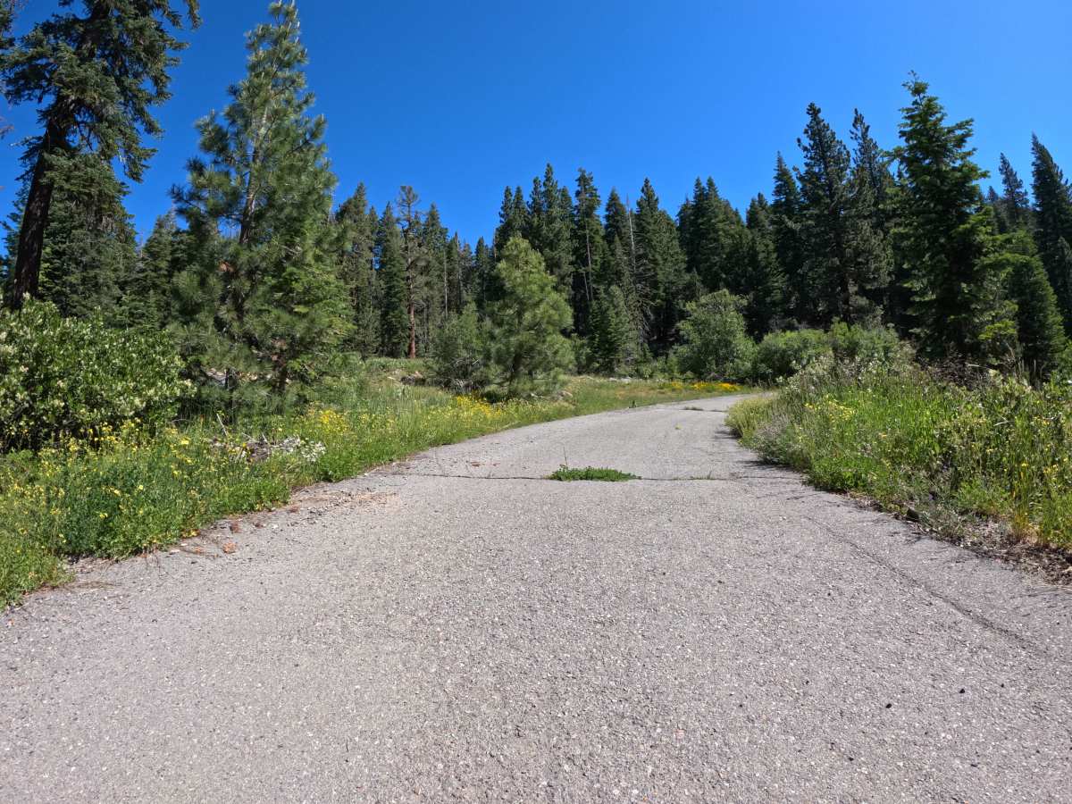 Martis Slope - FS 16N55 trail photo