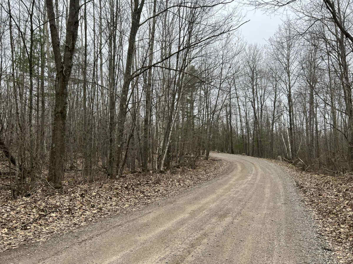 Sullivan Springs Road - FS 2330 photo 5