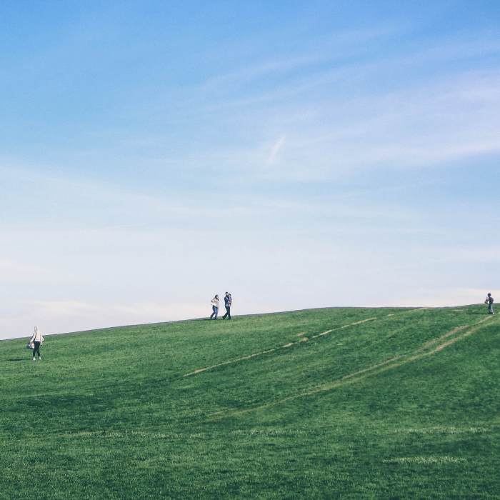 Near Montrose Park Beach Tour