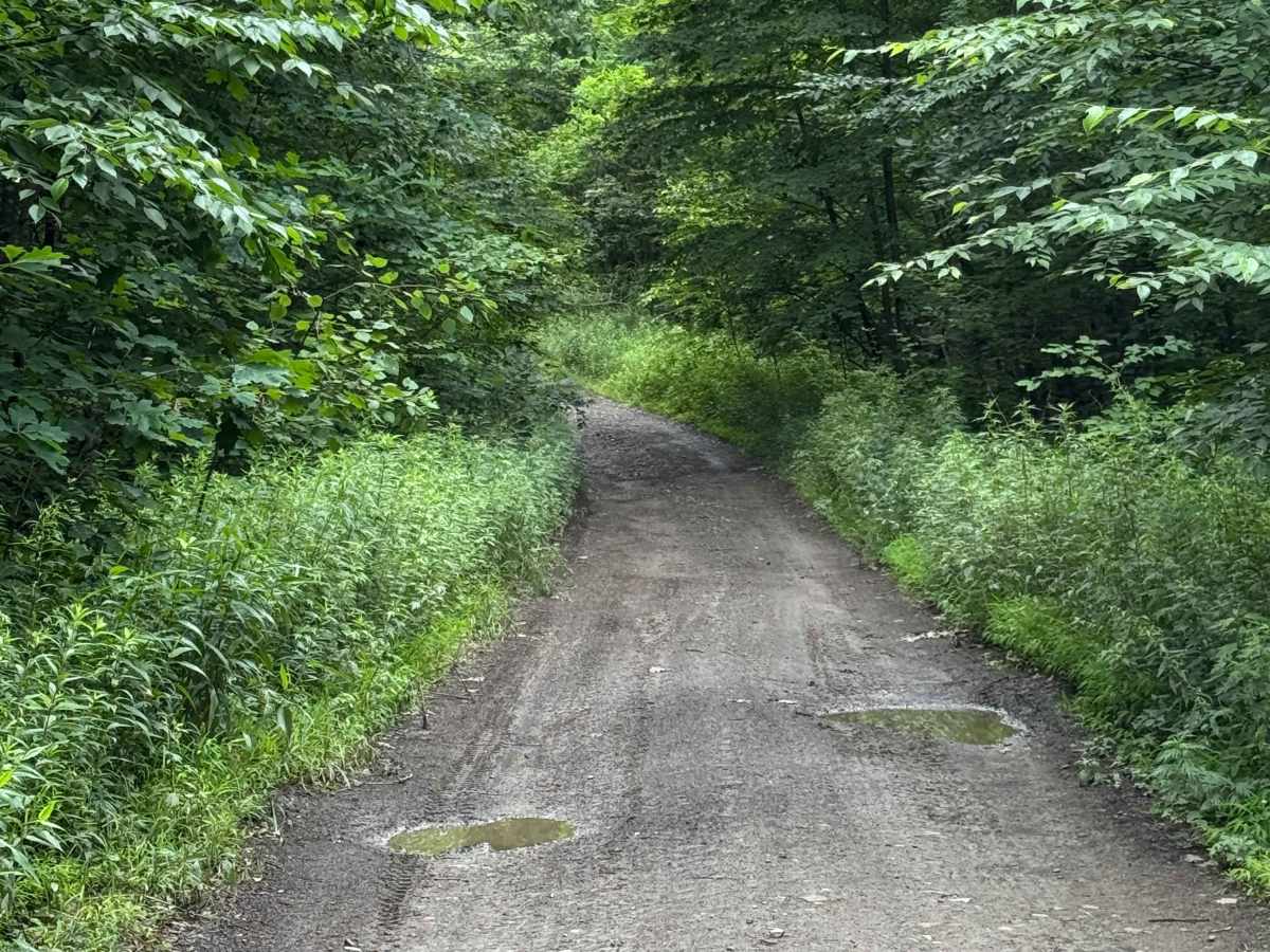 Trail 24 photo 6