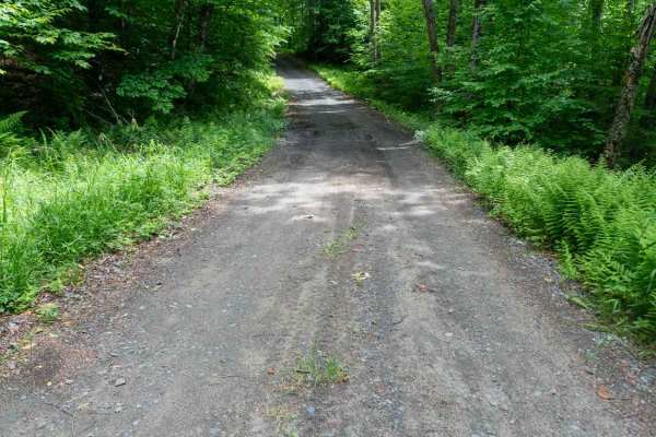 Woody's Road