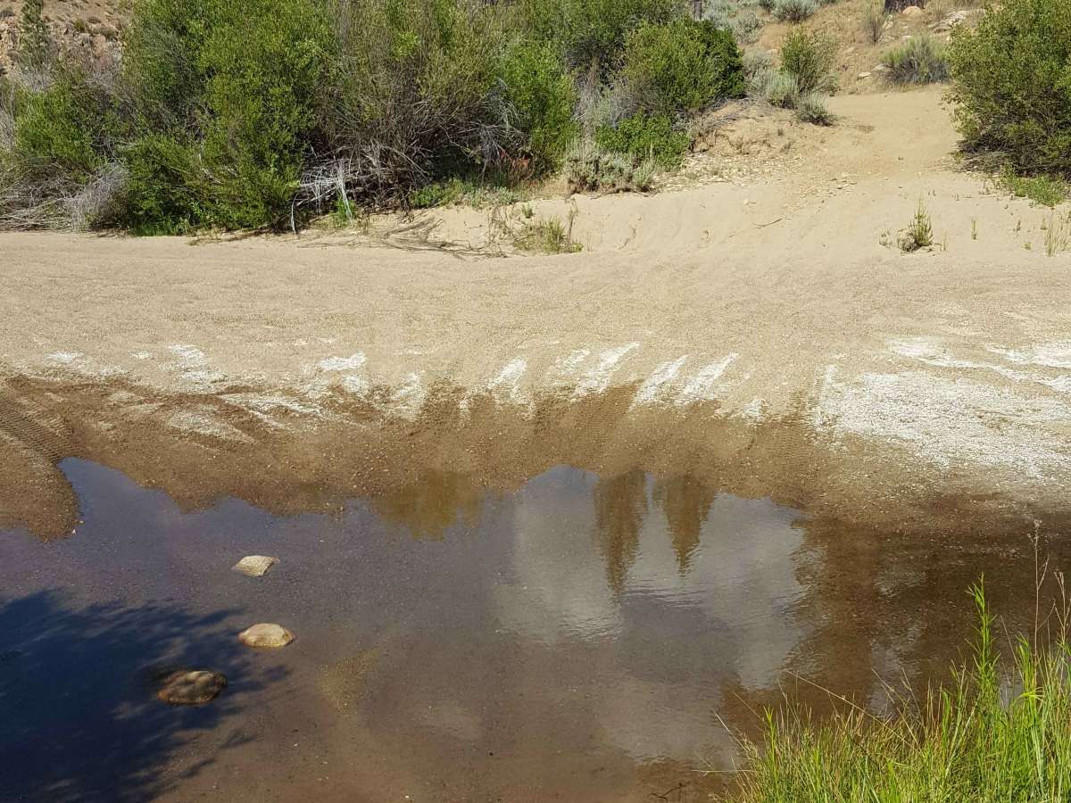 Halfmoon OHV Trail - FS 20W07 photo 6