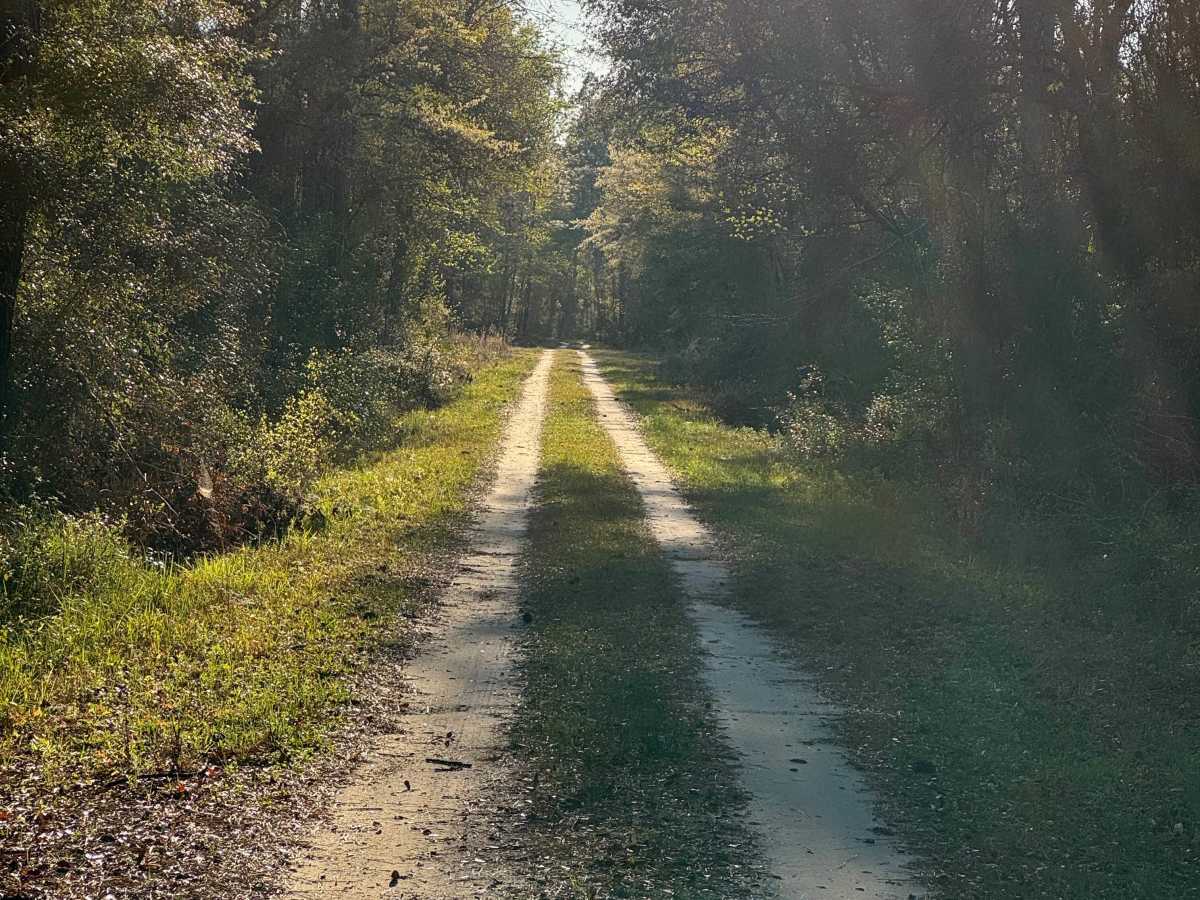 Flowing Well Road photo 4