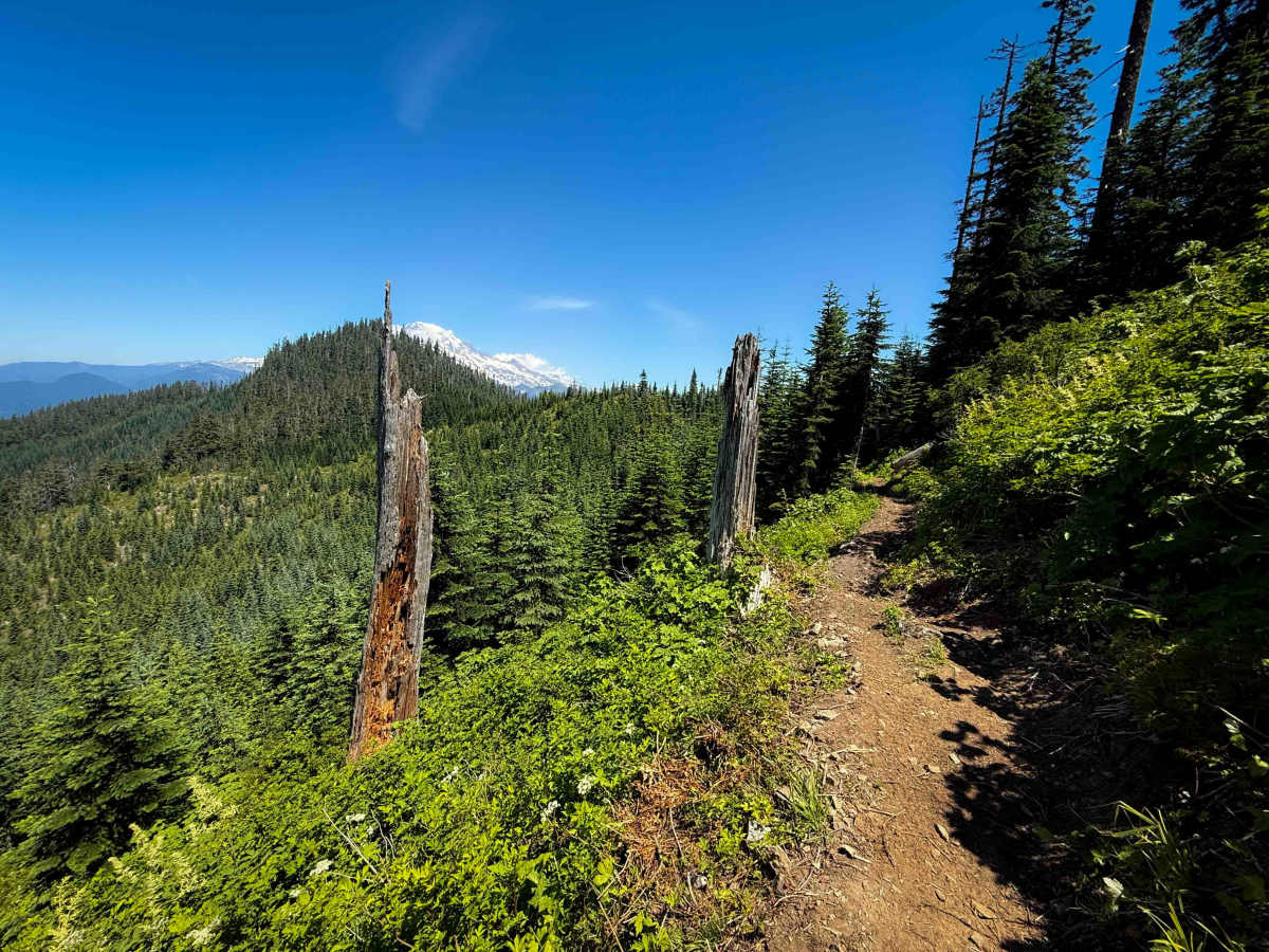 Allen Mountain Trail - 269 trail photo