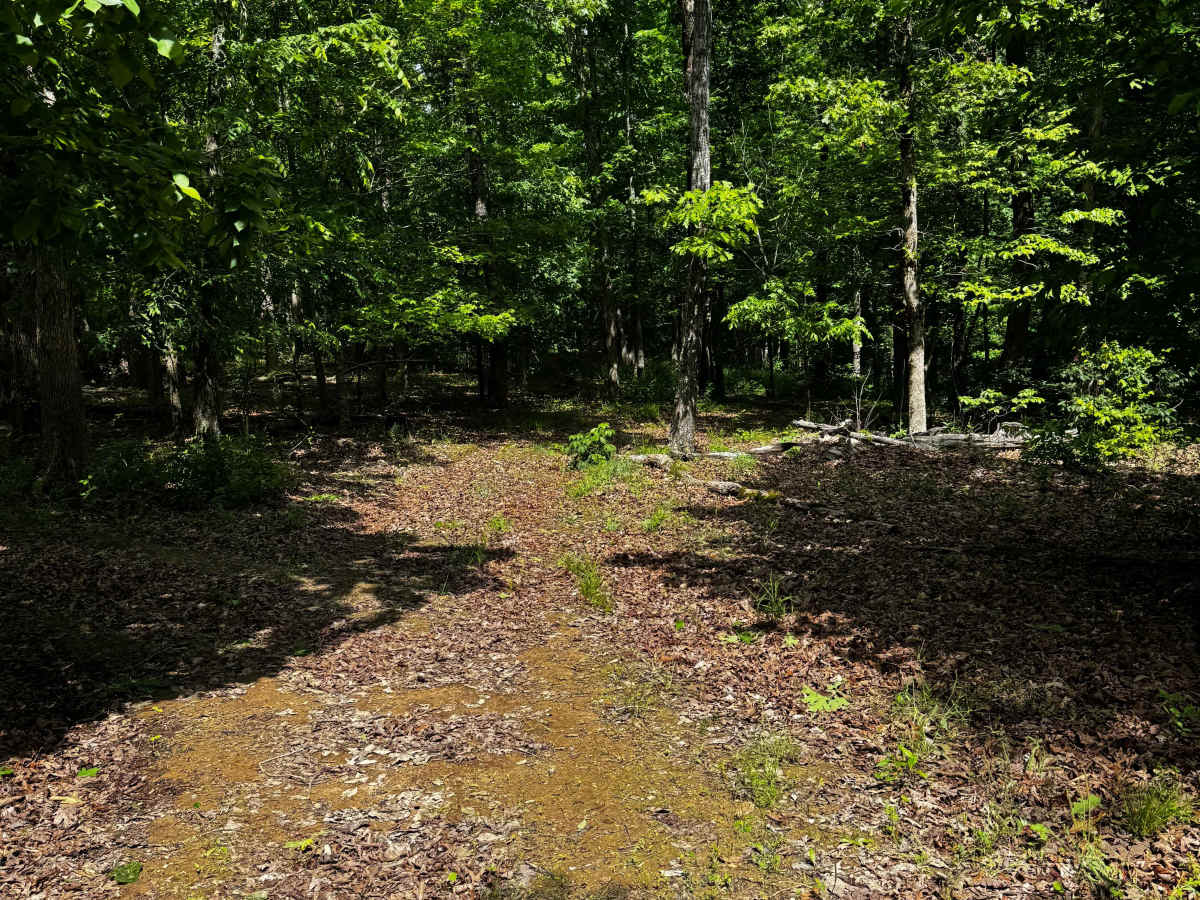 Inner Trail 1 photo 4