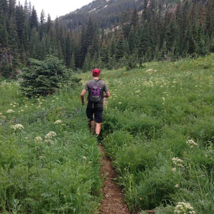 Near Avalanche Creek Trail