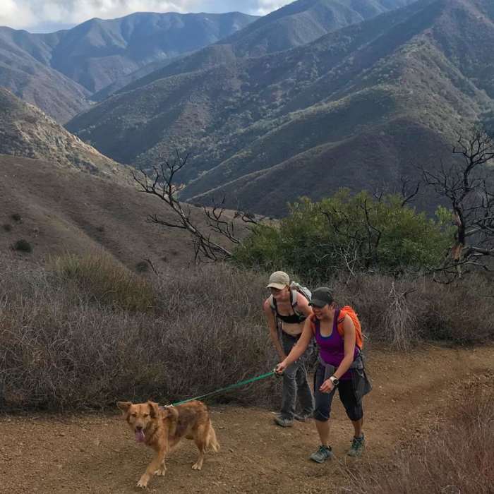 Near Silverado Trail to Bedford Peak