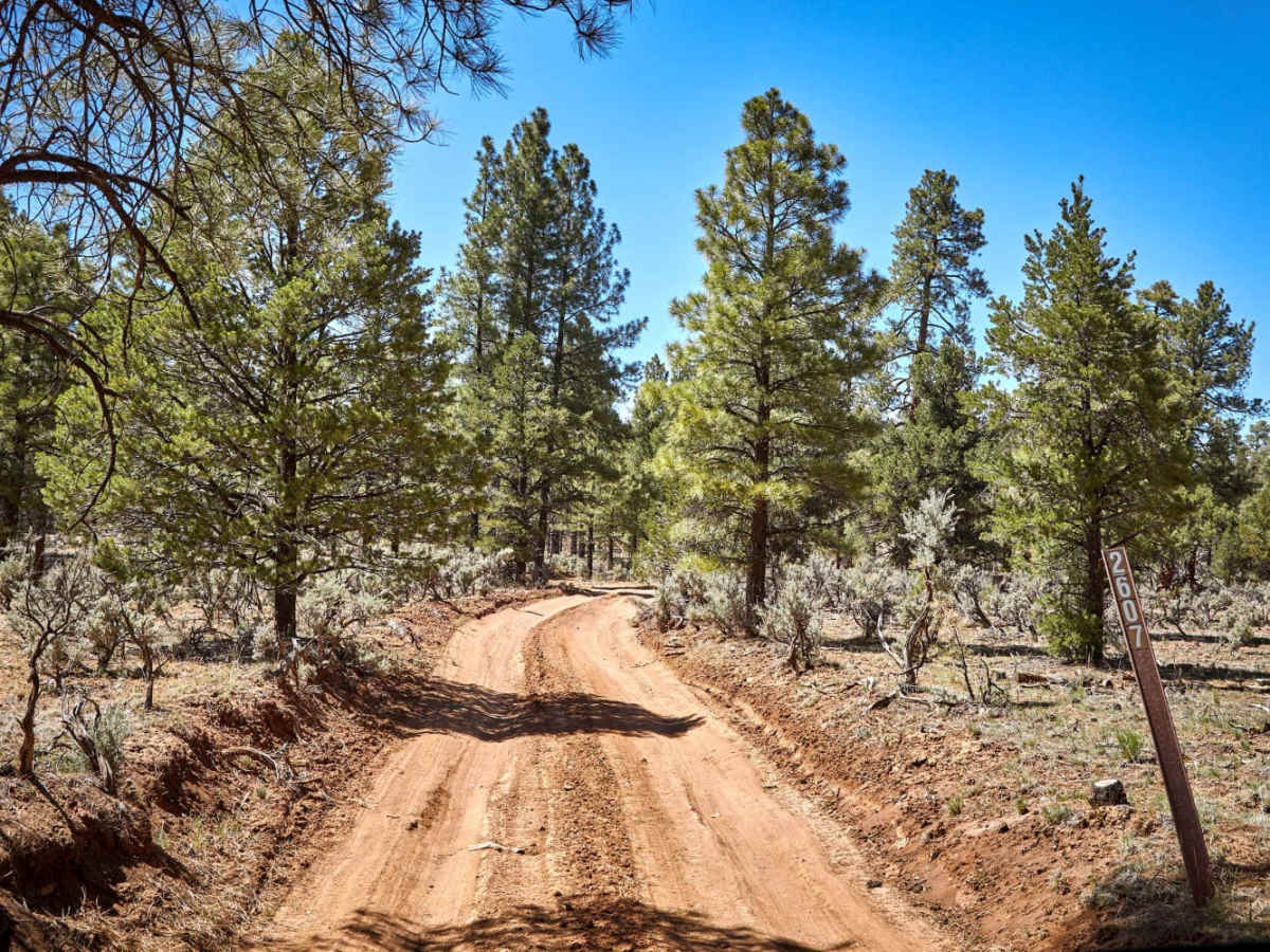 2607 Road trail photo