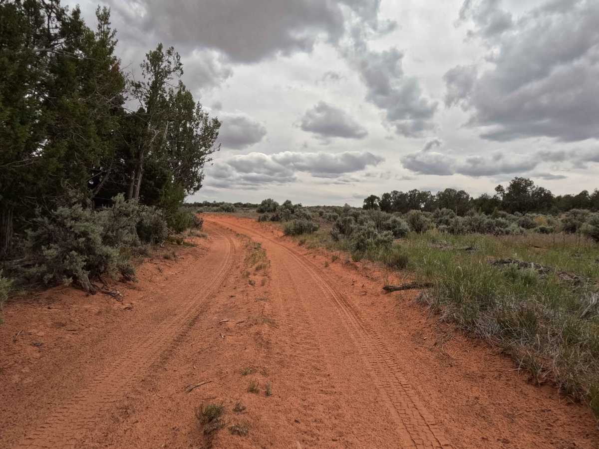 BLM 63 photo 3