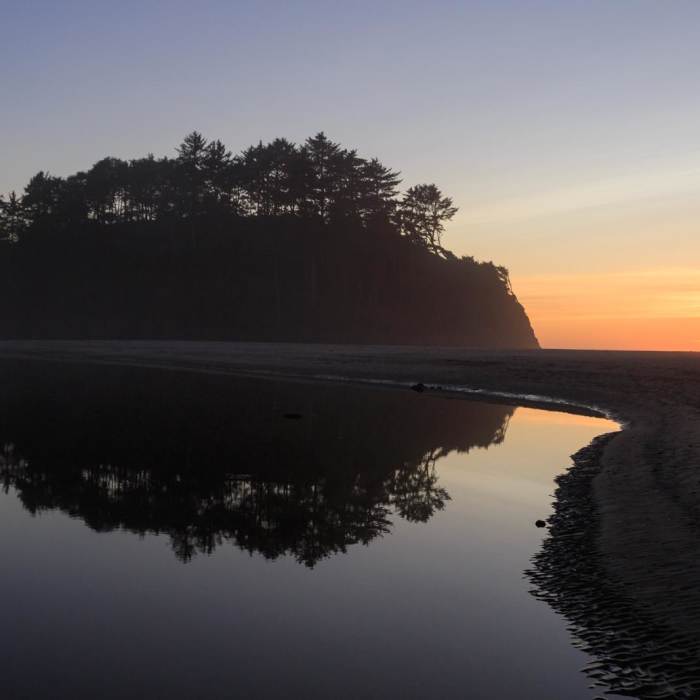 Near Oregon Coast Trail Section 4