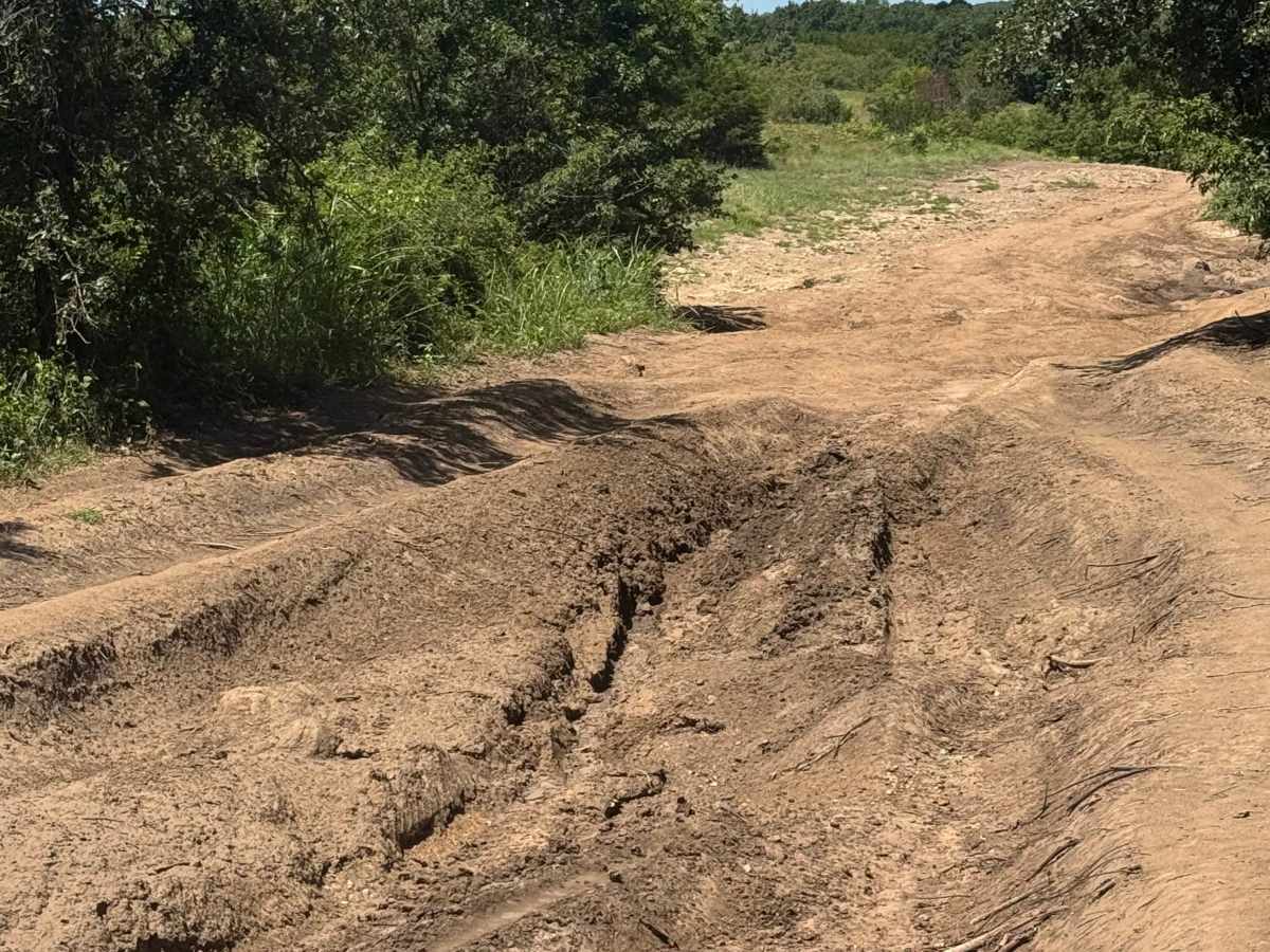 Main Road trail photo