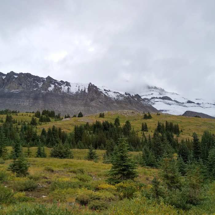Near Wilcox Pass Trail
