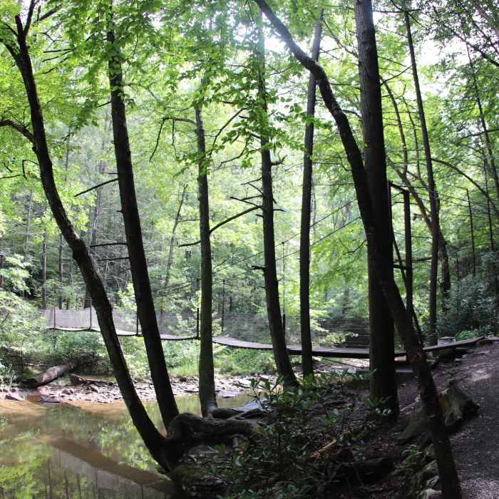 Near Balanced Rock-Laurel Run Loop Hike