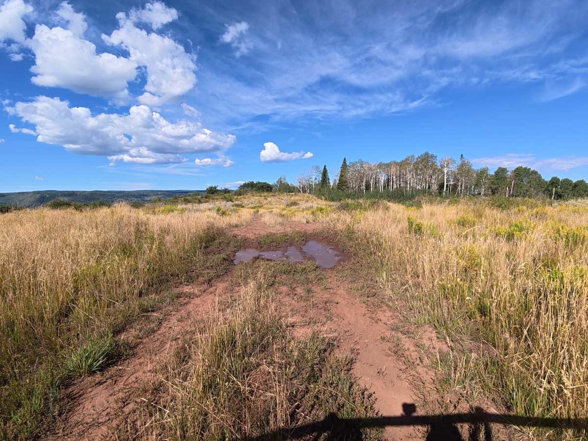 Big Ridge Road - FS 243 trail photo