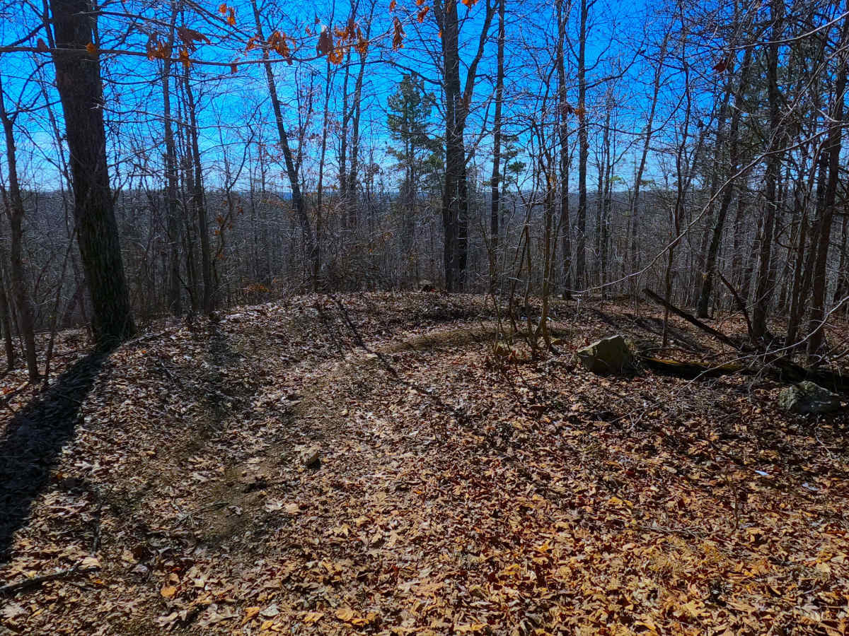 Sutton Bluff ATV 11 - SB 11 photo 3