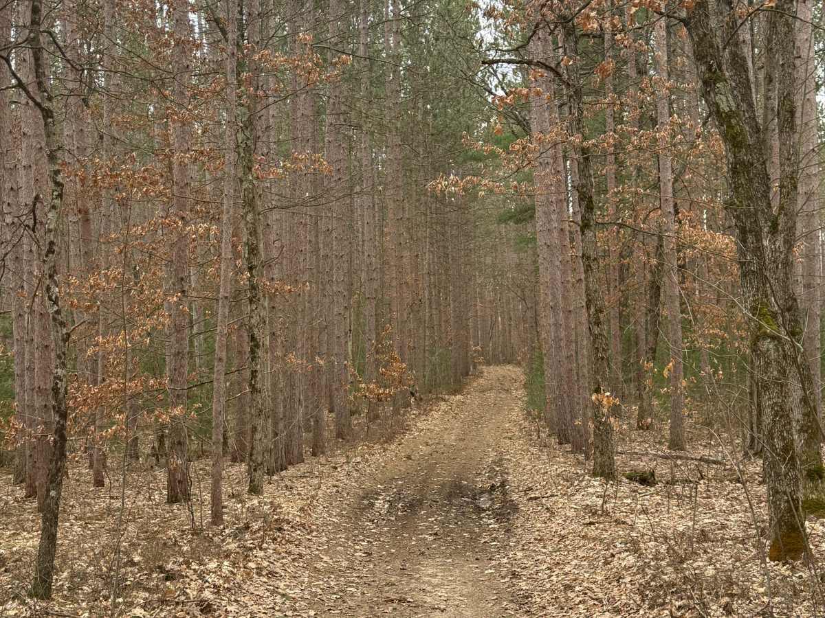 FS 8135 trail photo