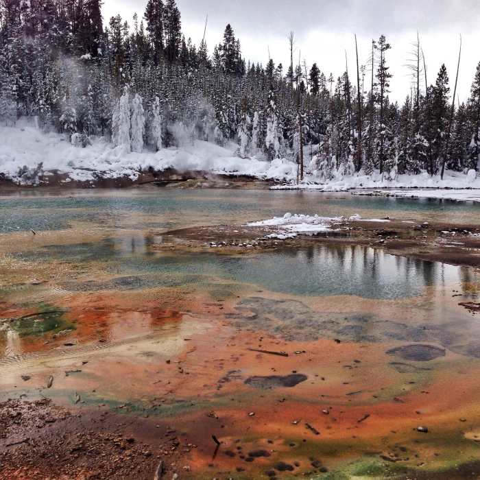 Near Norris-Back Basin