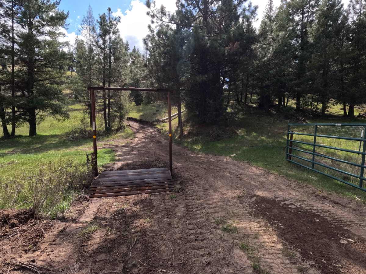 Trail G1 photo 3