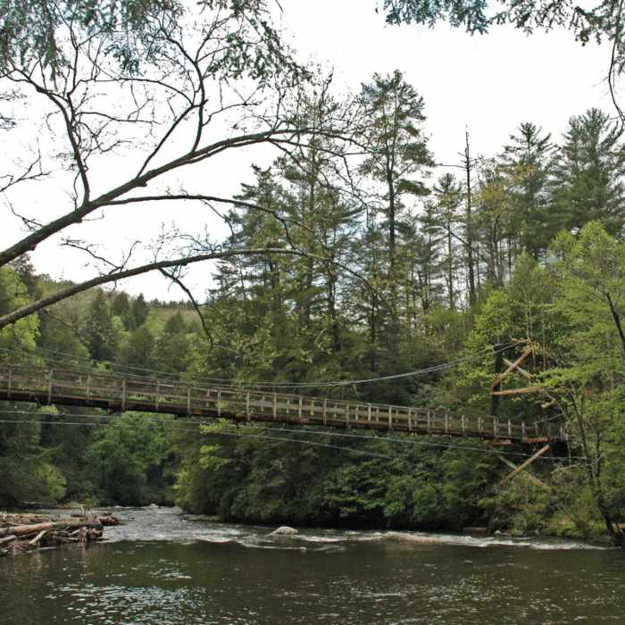 Suspension Bridge Near Toccoa River Road FS 333