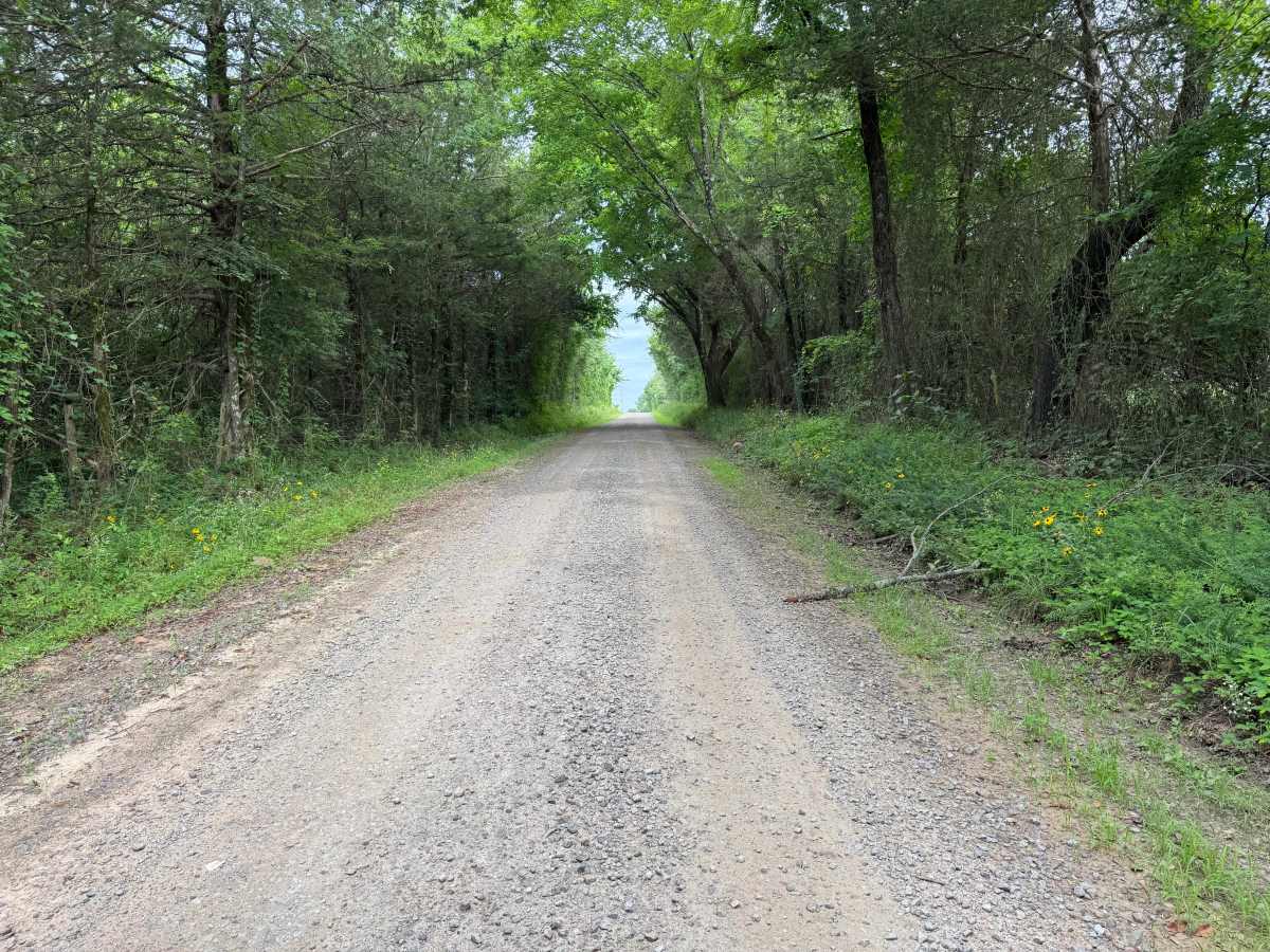 County Road 3550 photo 4
