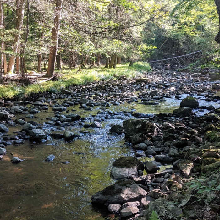 Big Flat Brook meanders alongside Blue Mountain Trail in Stokes State Forest. Near Stokes State Forest Loop