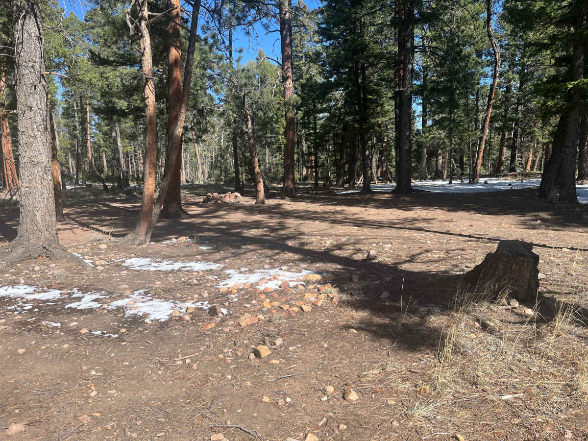Dist Boundary Road photo 3