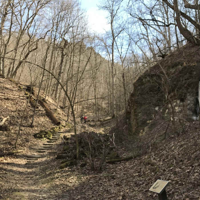 Near Brady's Bluff Trail - West