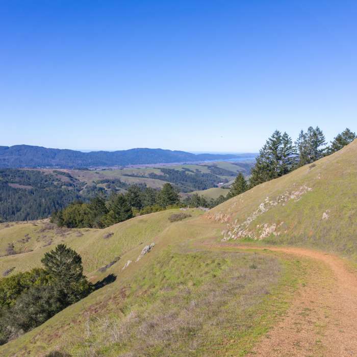 Near Barnabe Peak Out and Back