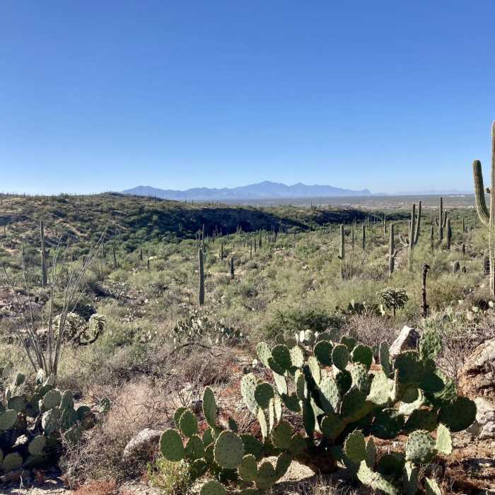 Near Freeman Homestead Trail