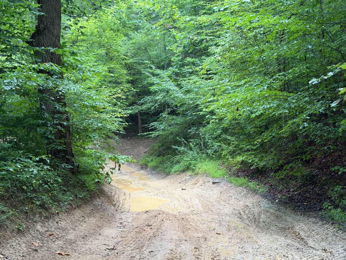 41 trail photo