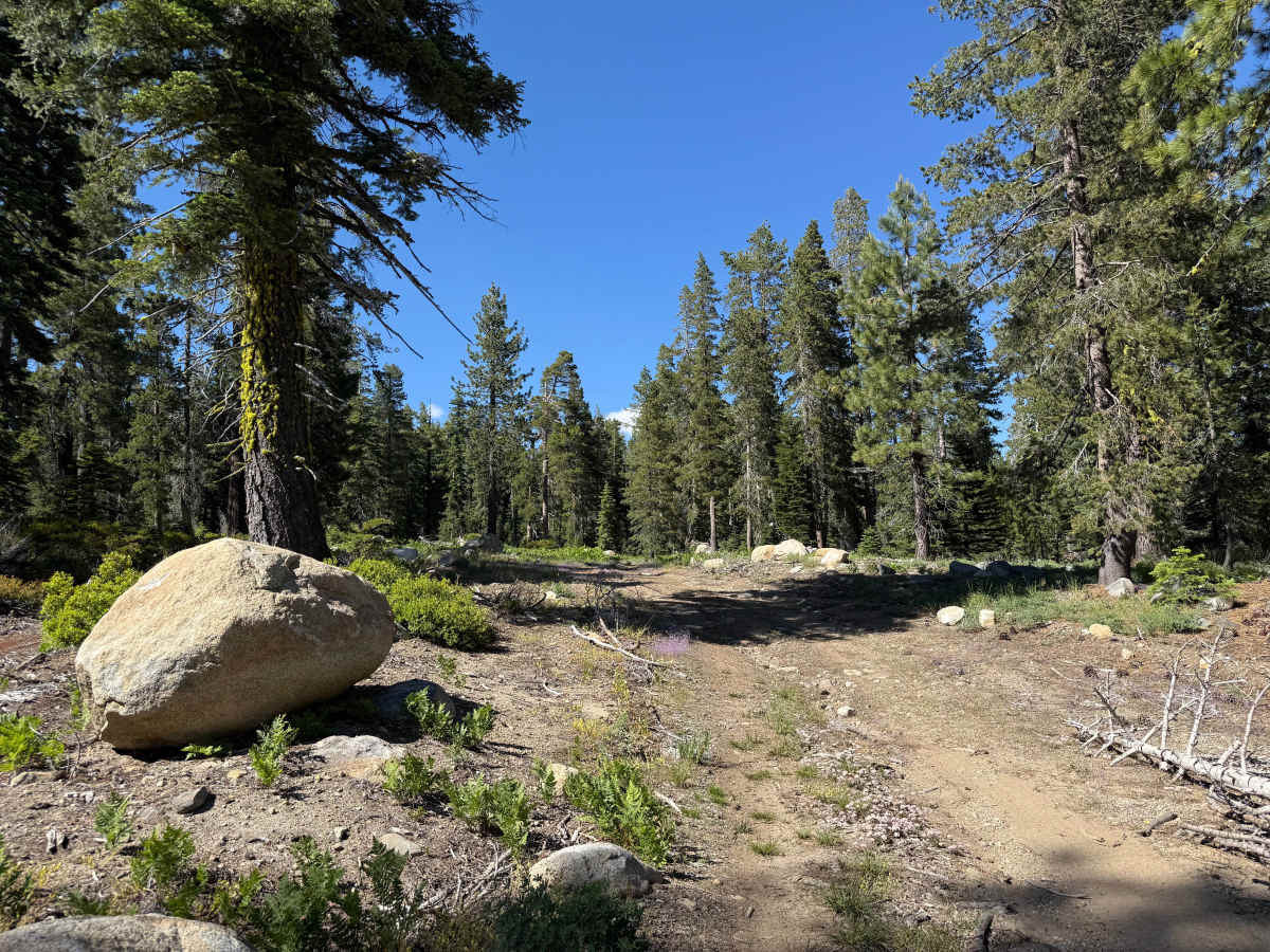 Wilson Meadows Road -  FS 11N37F photo 6