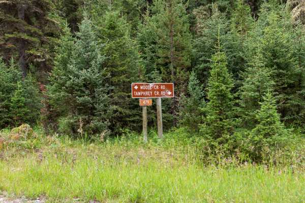 Moose Creek Road - FS 479
