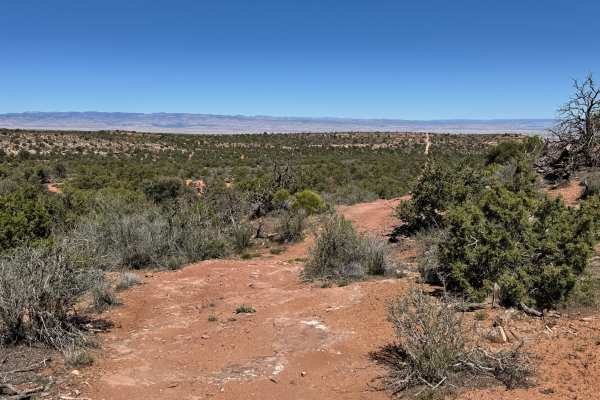 Trail Canyon Shortcut