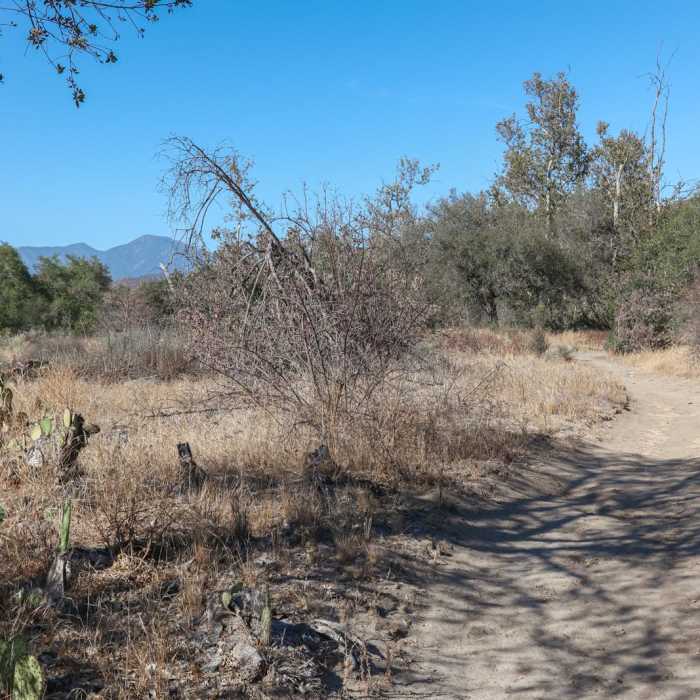 Near Nature Loop Trail