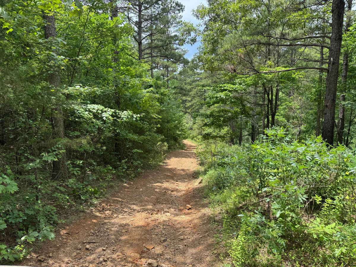 Sulpher Branch photo 3