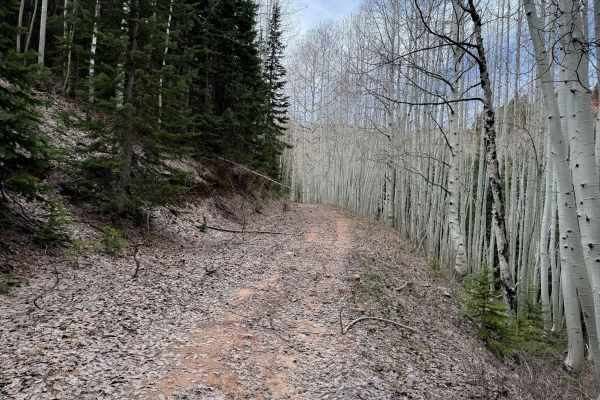 Trail 16  